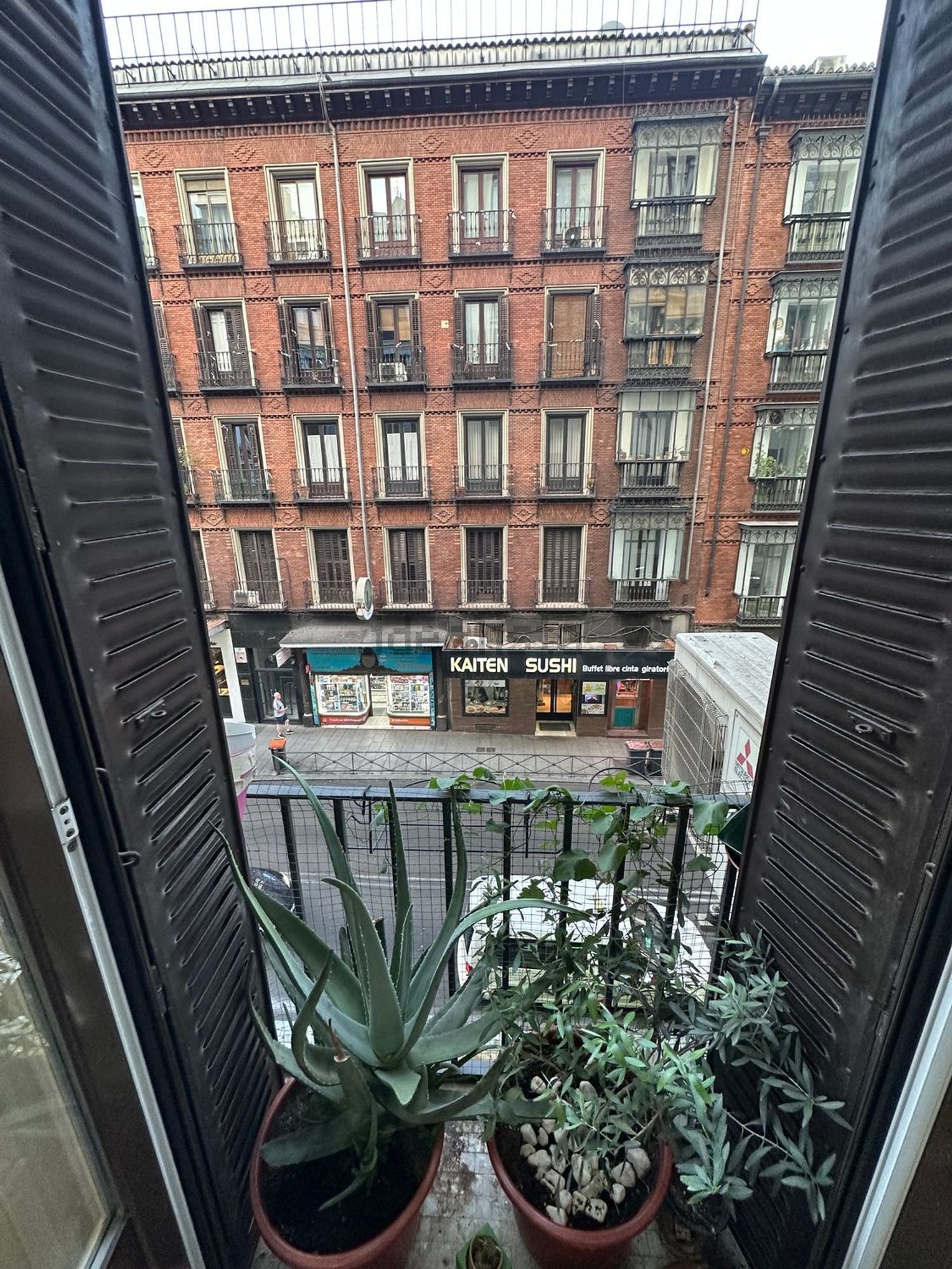 Room for rent, Madrid