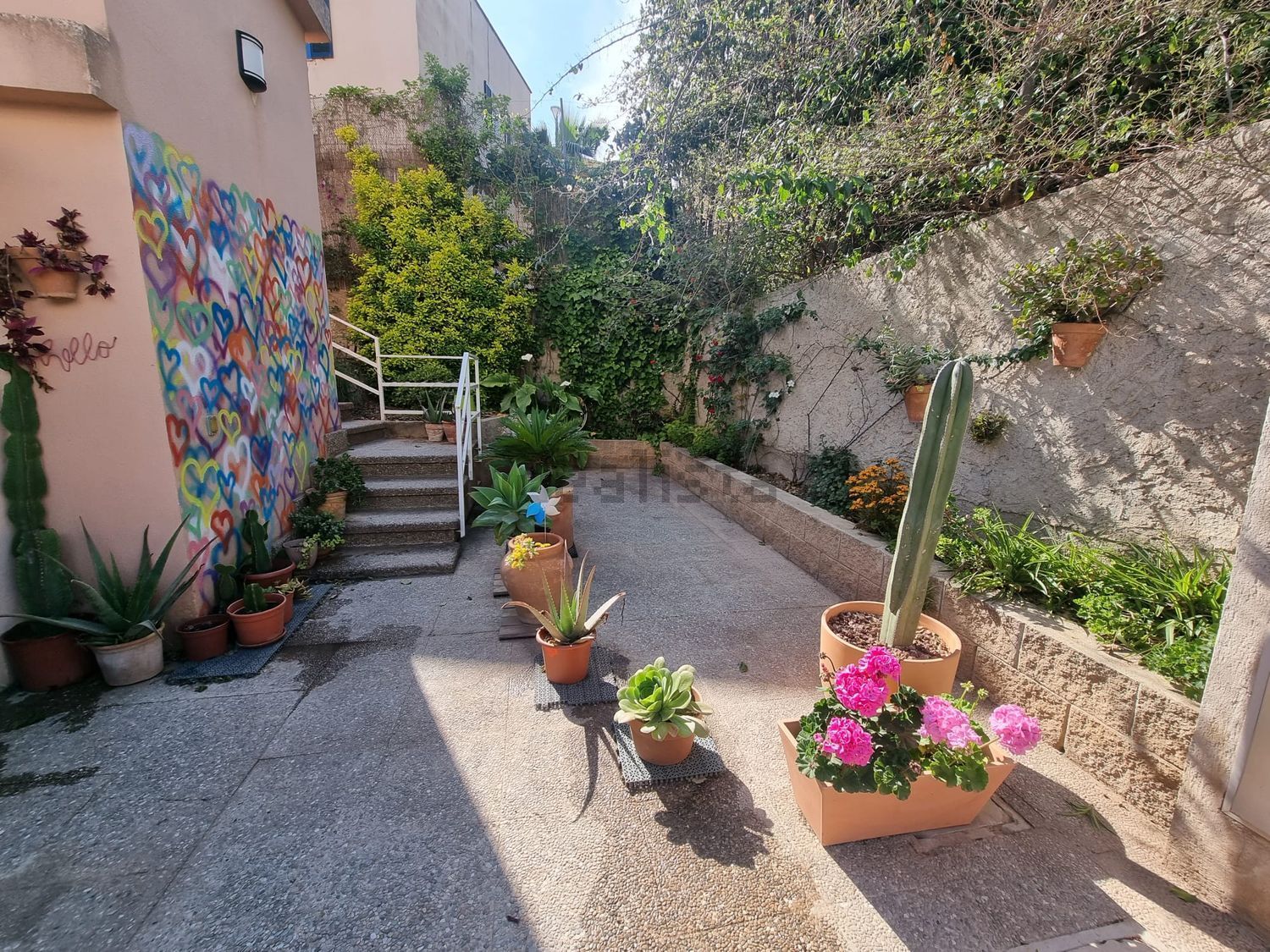 Stanza in affitto, Palma