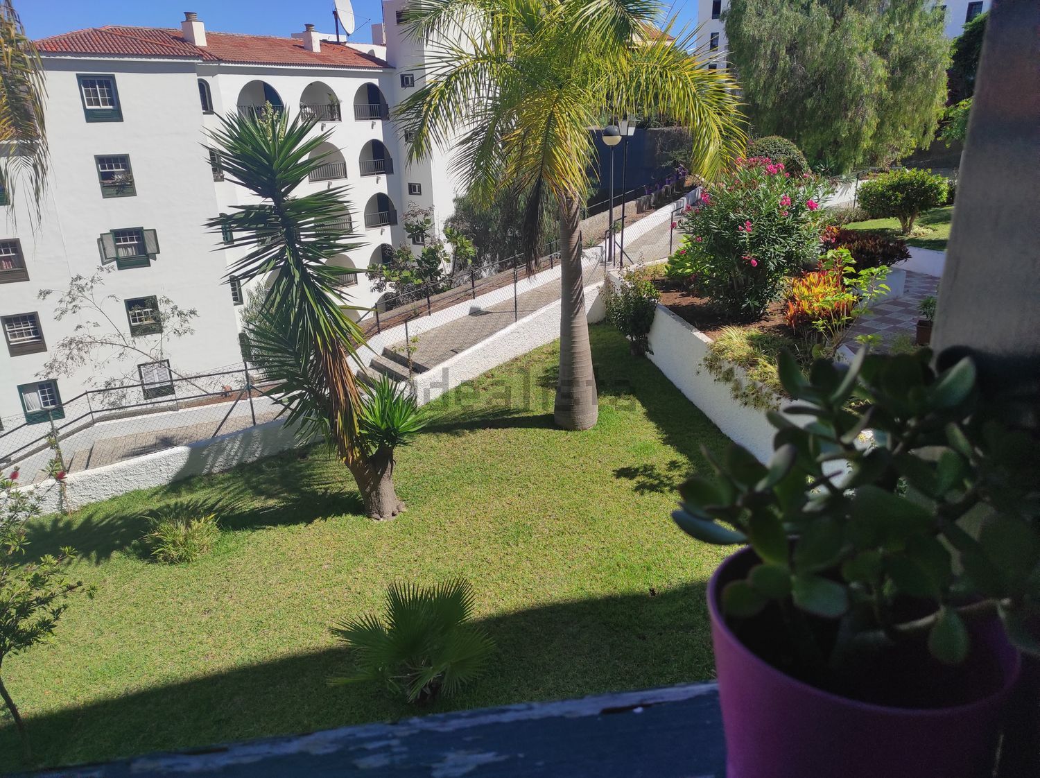 Habitació de lloguer, Puerto de la Cruz
