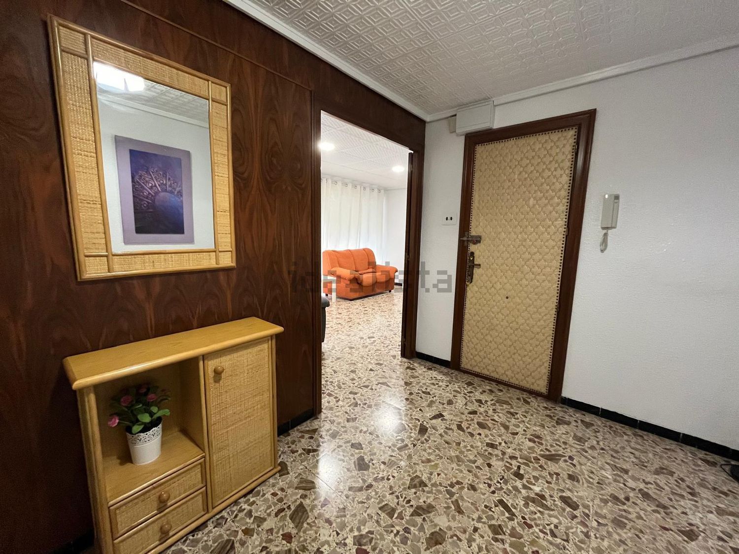 Habitació de lloguer, Elx