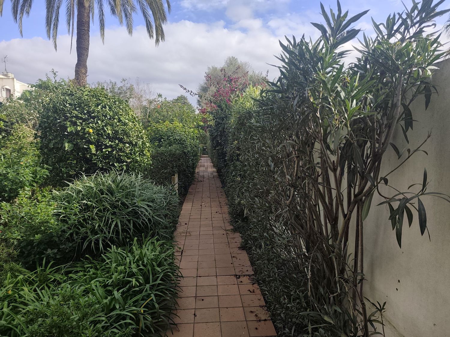 Apartamento 145 m² em San Roque