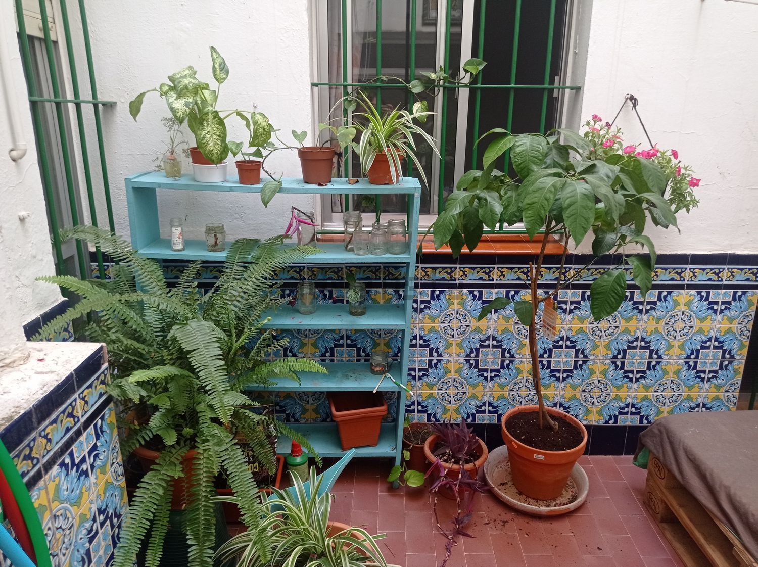Habitació de lloguer, Sevilla