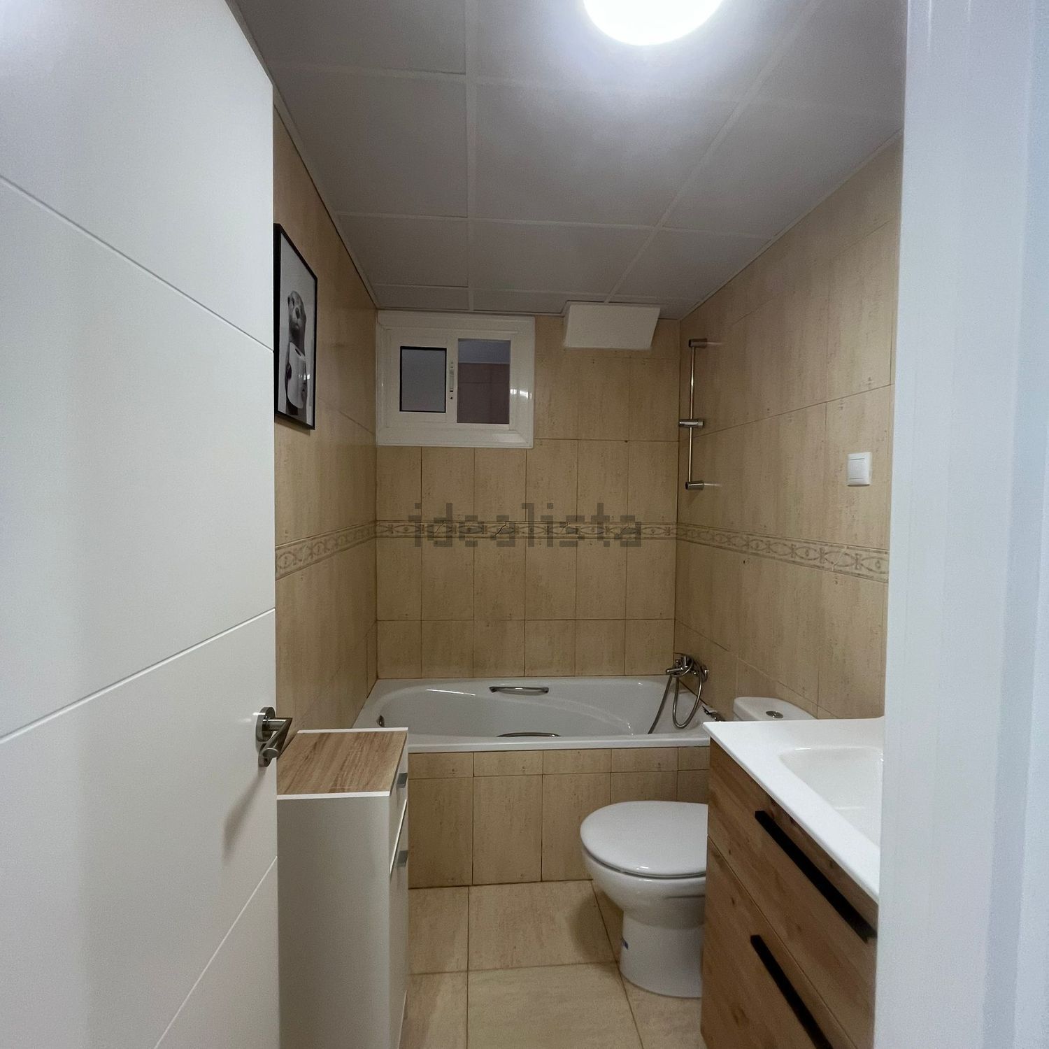 Habitació de lloguer, Elx