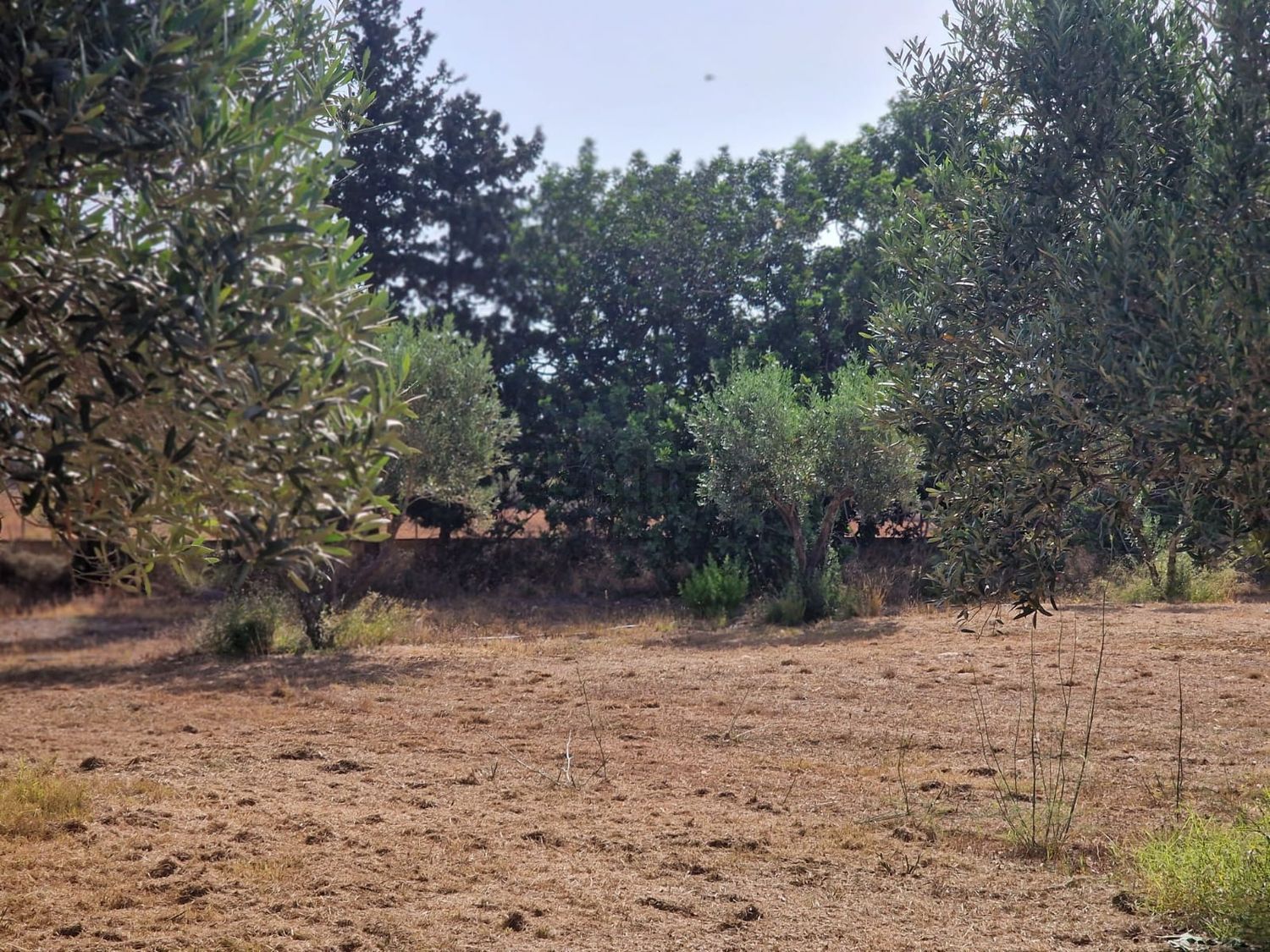 Appartamento 150 m² a Son Servera