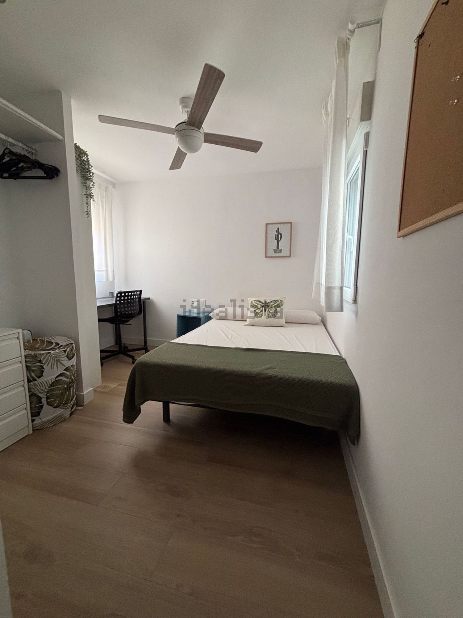 Habitació de lloguer, Múrcia