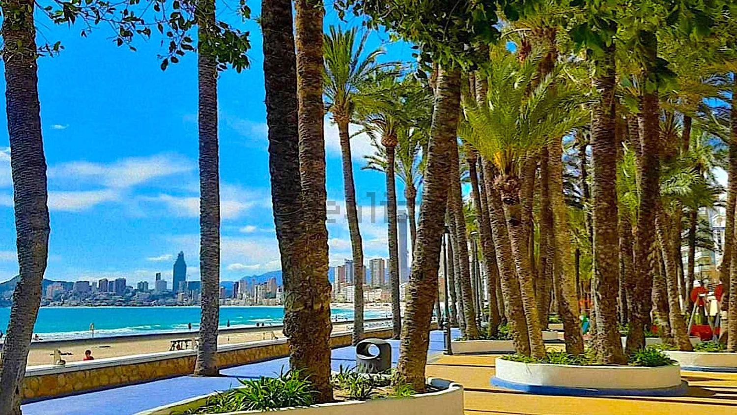 Pis de 50 m² a Benidorm