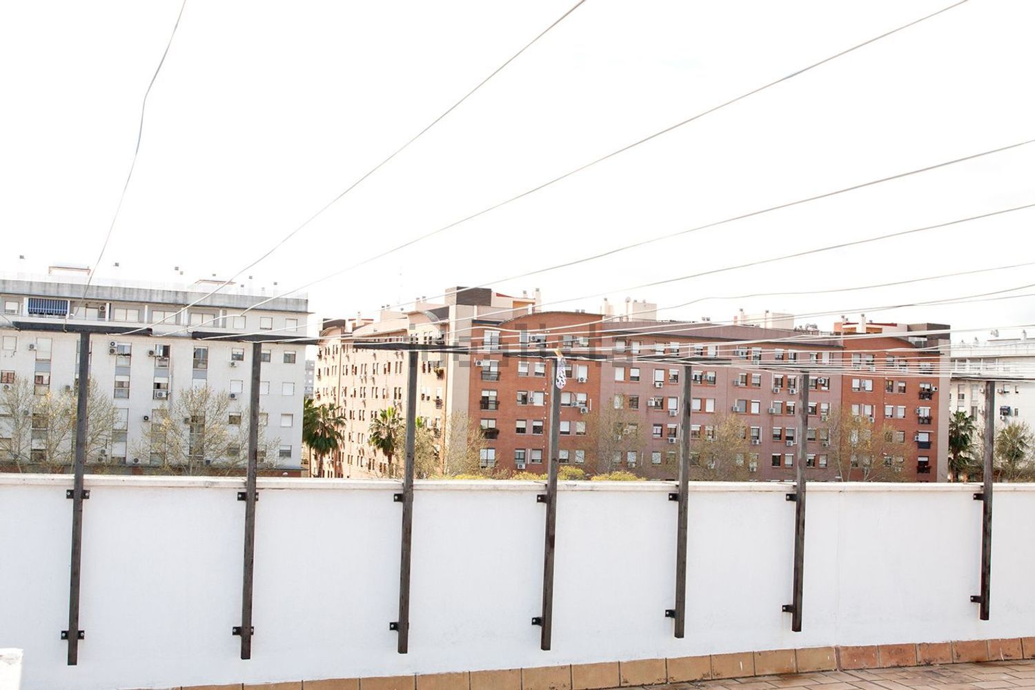 Habitació de lloguer, Sevilla