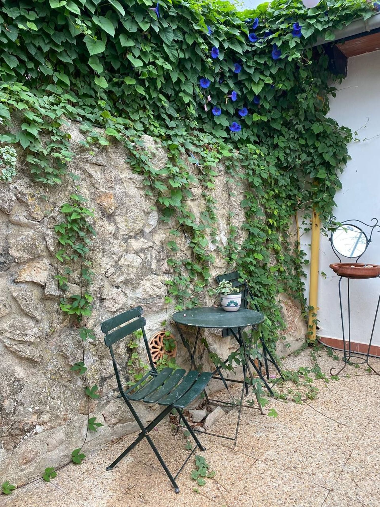Stanza in affitto, Selva