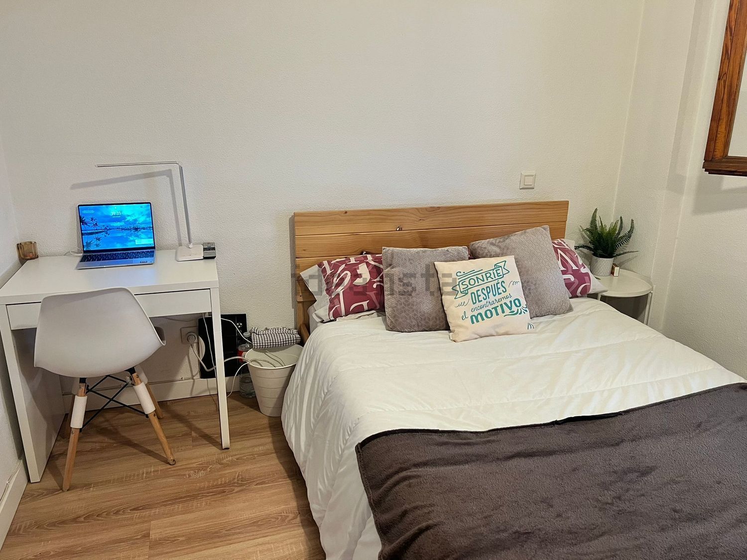 Habitació de lloguer, Valladolid