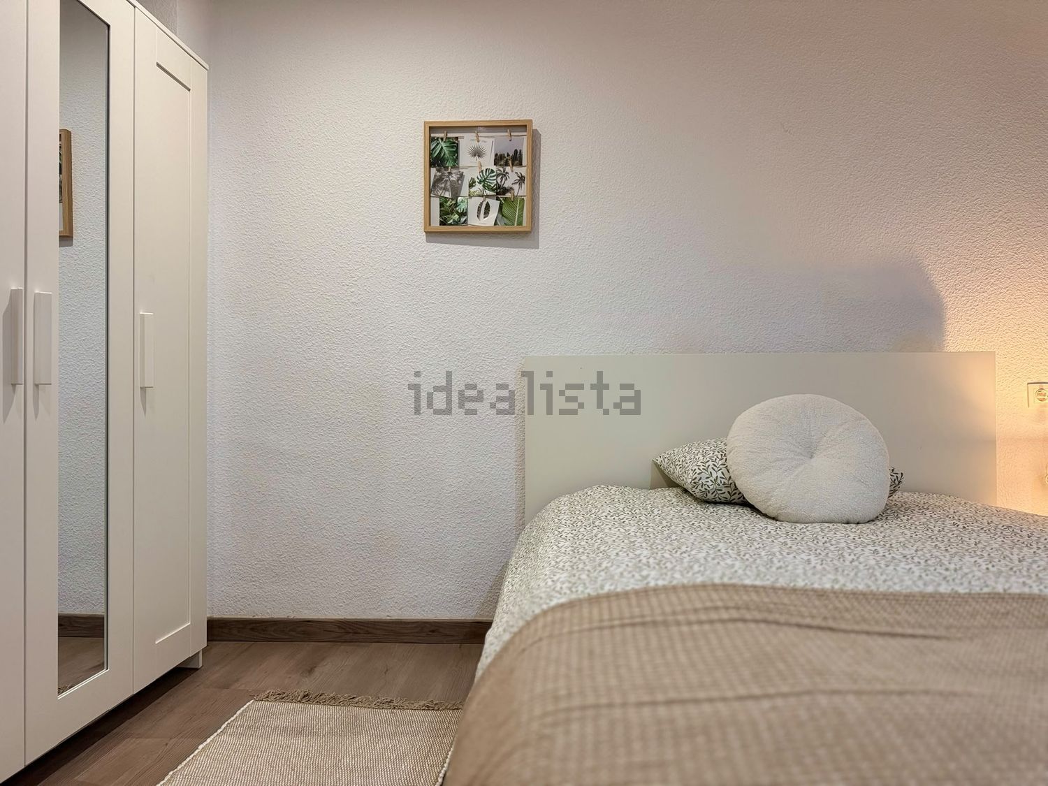 Habitació de lloguer, Elx