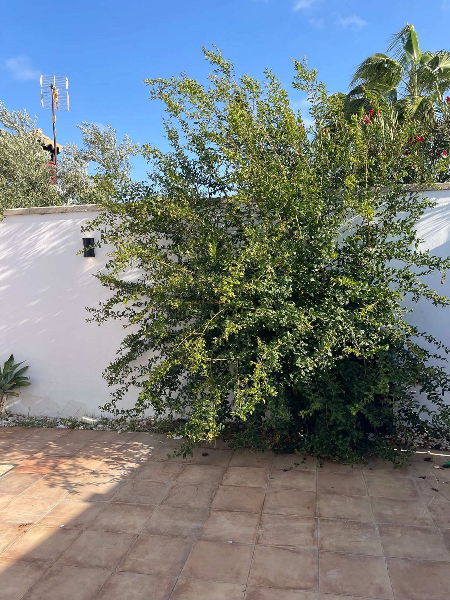 Casa de 130 m² en Chiclana de la Frontera