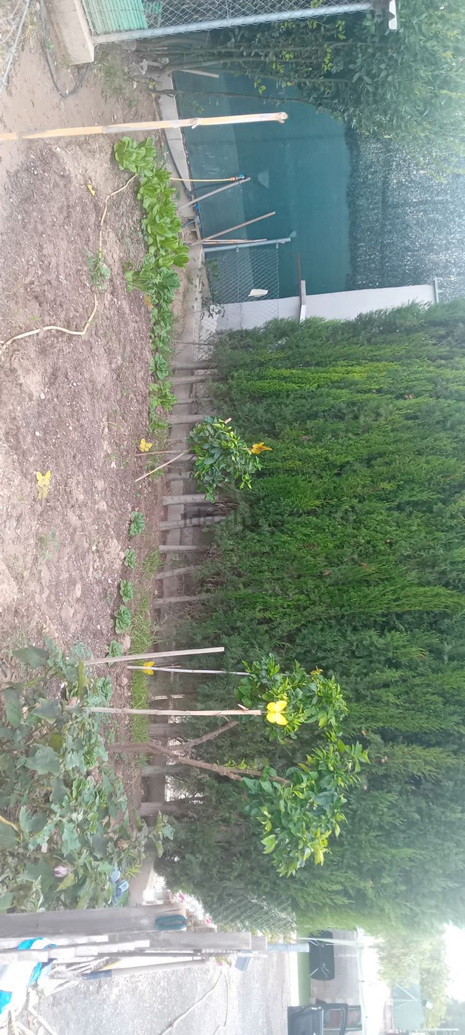 Casa de 36 m² a Asp