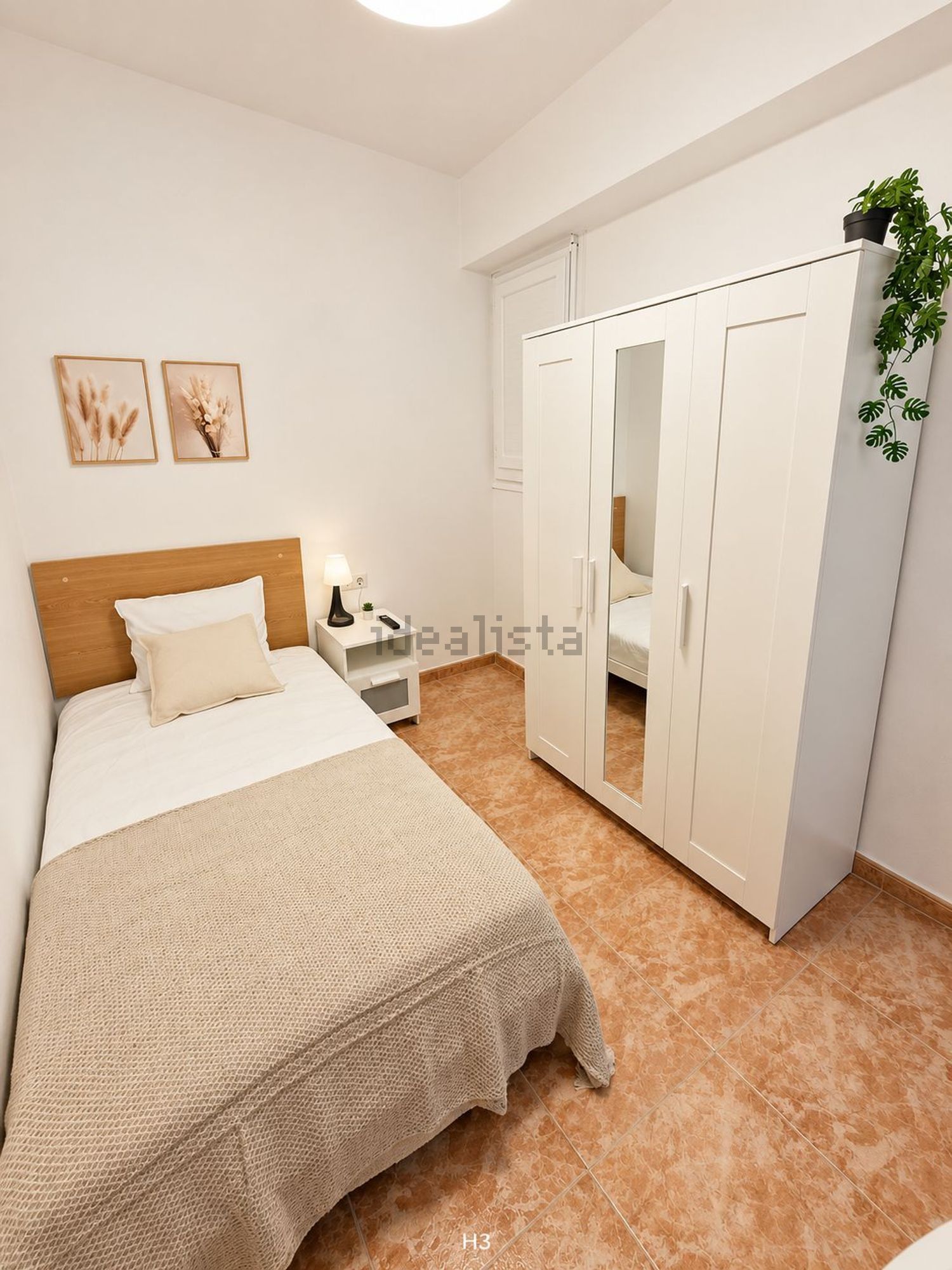 Habitació de lloguer, Algemesí