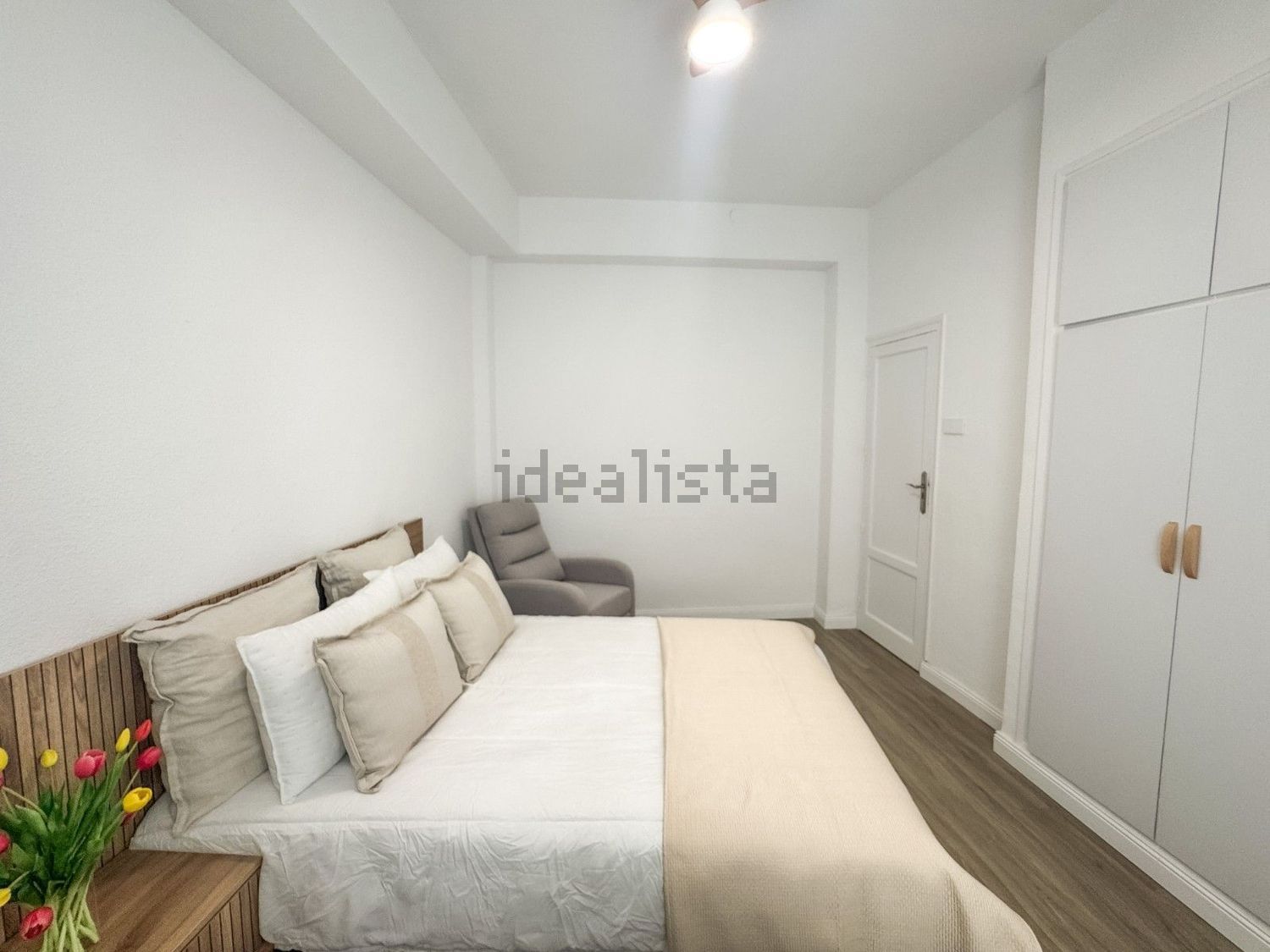 Habitació de lloguer, Elx