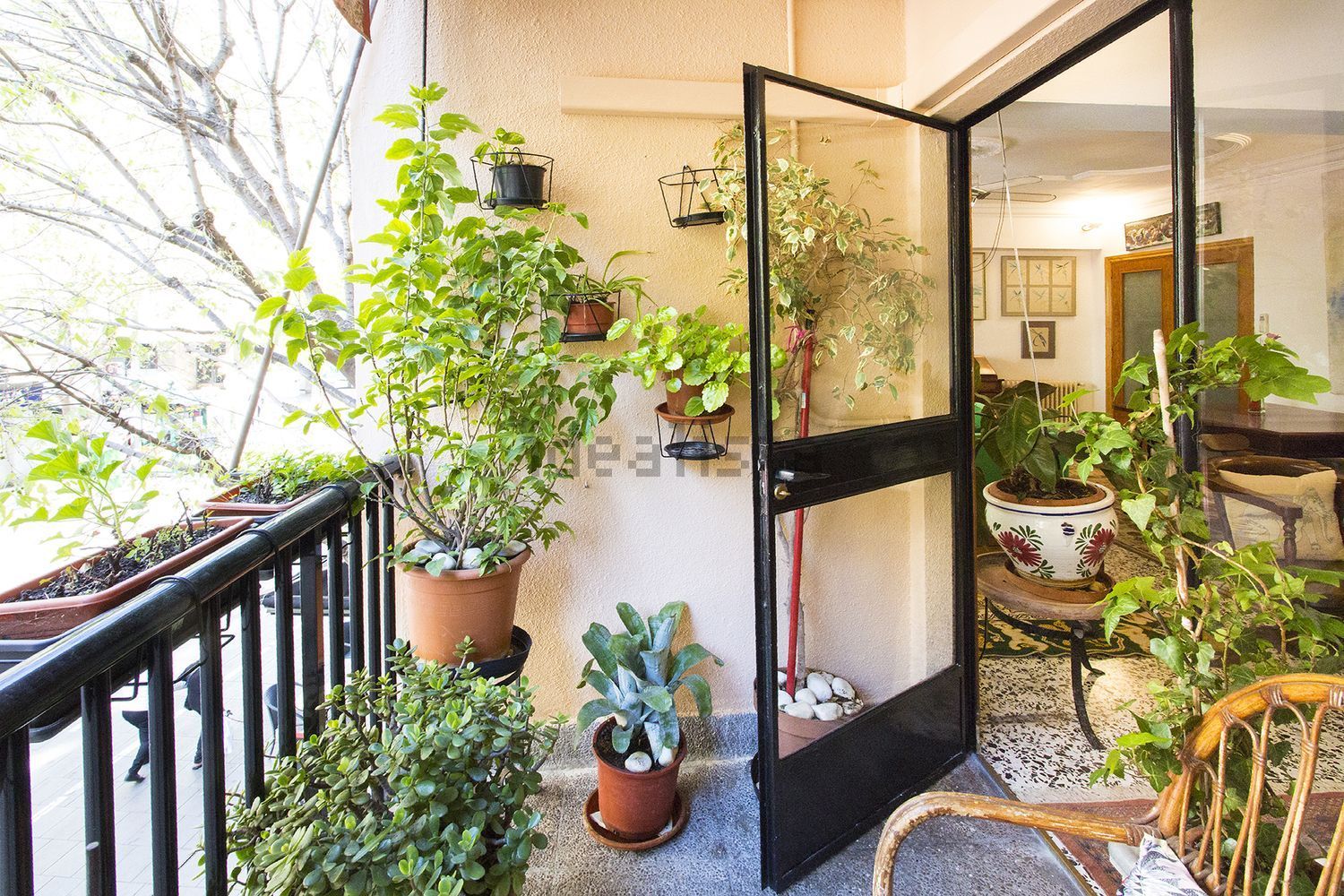 Habitació de lloguer, Palma