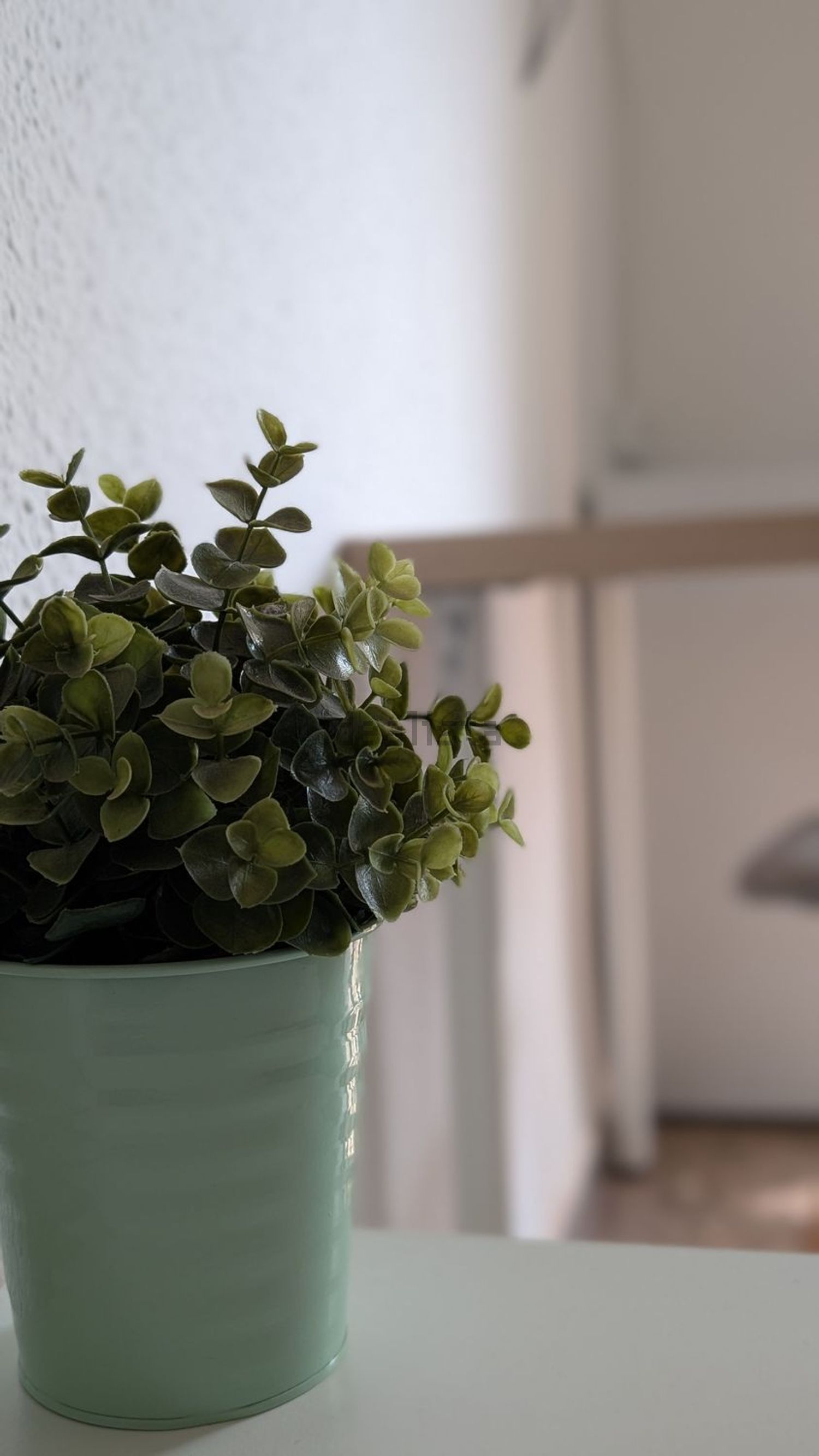 Habitación en alquiler, Sagunto