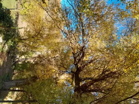 Pis de 100 m² a la Guingueta d'Àneu