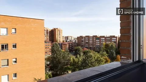 Habitació de lloguer, Madrid