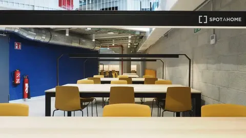 Habitació de lloguer, Bilbao