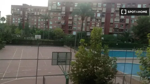 Habitació de lloguer, Alacant
