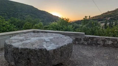 Appartement 40 m² à Grazalema