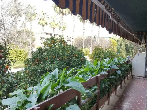 Pis de 120 m² a Còrdova (2/14)
