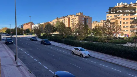Кімната в оренду, Madrid