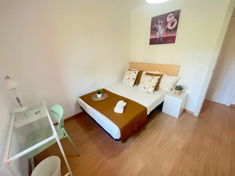 Stanza in affitto, Valencia