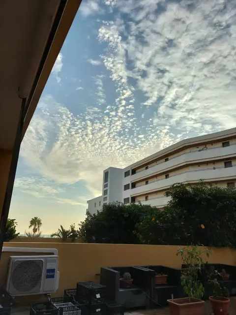 Appartement 49 m² à San Miguel de Abona