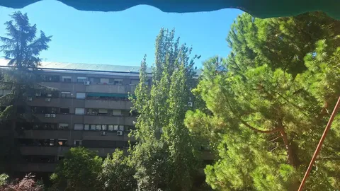 Stanza in affitto, Madrid