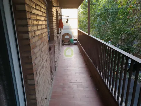 Room for rent, Granada