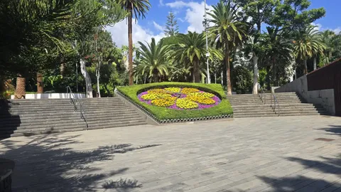 Pis de 20 m² a Santa Cruz de Tenerife