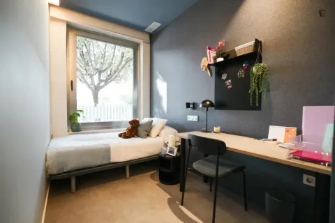 Apartamento 20 m² em Castelló de la Plana / Castellón de la Plana (2/5)