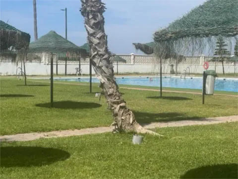 Appartamento 55 m² a Salobreña