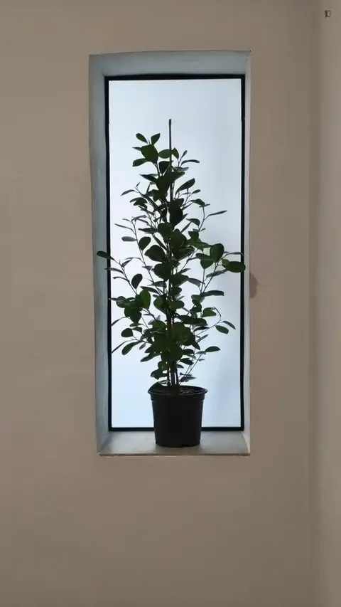 Wohnung 85 m² in Granada