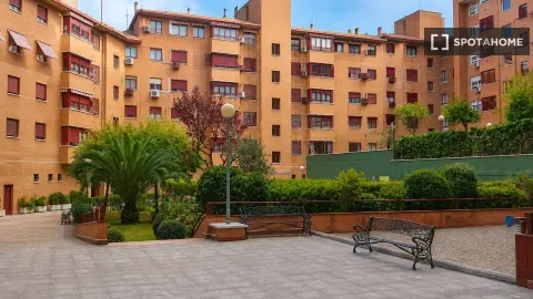 Chambre à louer, Madrid