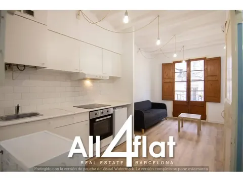 Pis de 29 m² a Barcelona