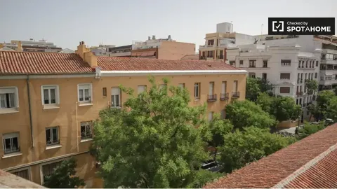 Stanza in affitto, Madrid