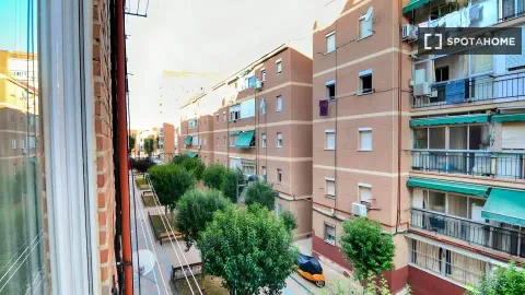 Chambre à louer, Getafe