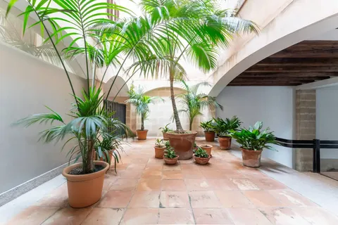 Pis de 156 m² a Palma
