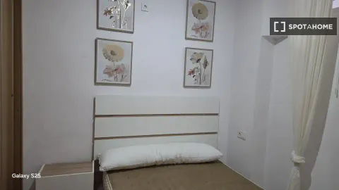 Stanza in affitto, Siviglia (4/4)