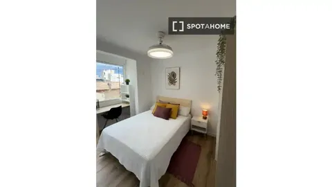 Habitació de lloguer, Alacant