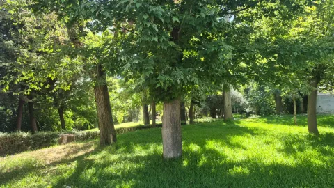 Wohnung 65 m² in Ogíjares