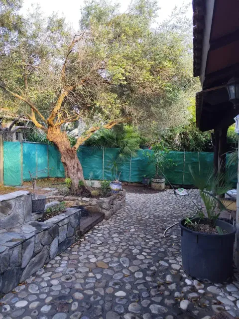 Haus 35 m² in Chiclana de la Frontera (2/14)