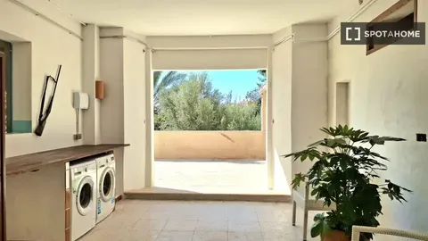 Habitació de lloguer, Palma