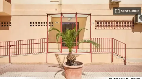 Habitació de lloguer, Sevilla