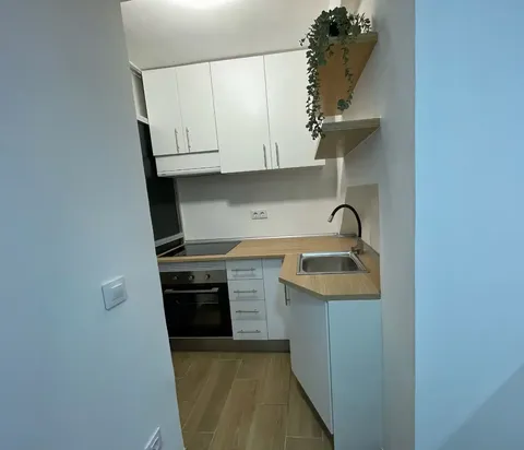 Habitació de lloguer, Parla