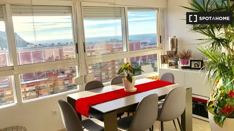 Habitació de lloguer, Alacant