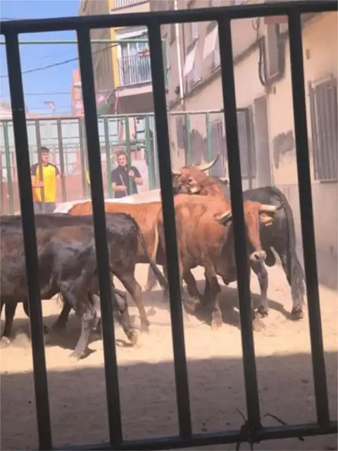 Habitació de lloguer, Vilanova d'Alcolea