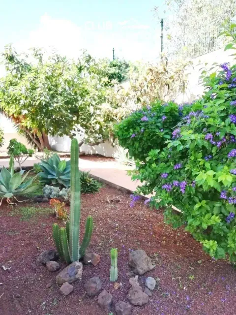 Pis de 85 m² a El Rosario